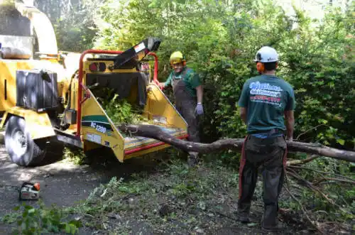 tree services South Palm Beach